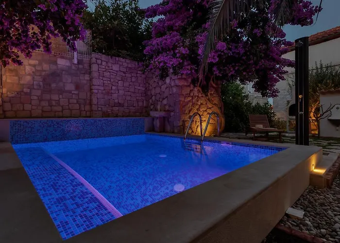 Seaside House With A Swimming Pool - Brac - 16300 Holiday home Sutivan